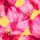 estampado-italia-5