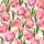estampado-italia-7